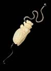 ..Chinese Carved Cicadidae Bead Silver Pendant